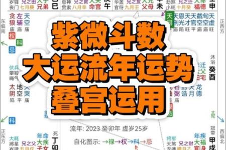流年考运紫薇斗数