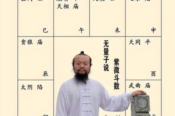 紫薇斗数耗驿