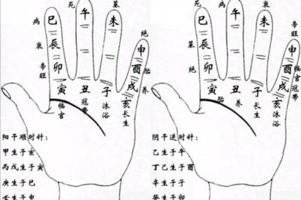 紫薇斗数掌决