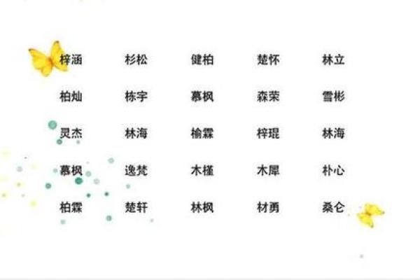 2019年6月15号子时出生的男孩要怎么起名字姓名