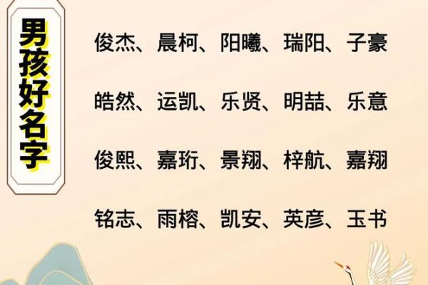 2019年3月19号酉时出生的男孩起名时要注意什么姓名