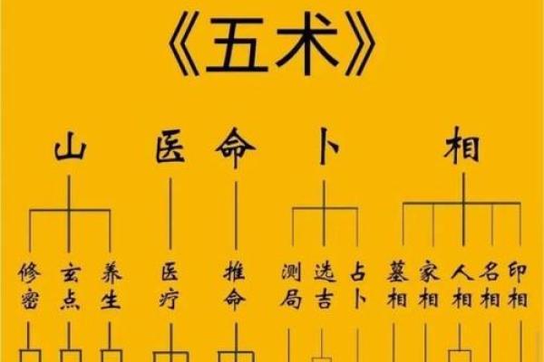 紫薇斗数身福宫