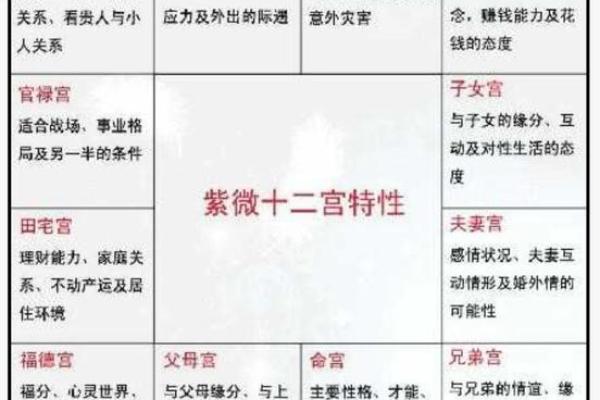 紫微斗数来因宫四度空间  紫微斗数来因宫查询
