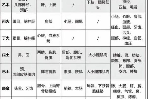 八字身强身弱对照表