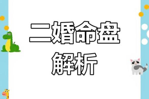 紫薇斗数廉贪巳亥二婚怎么样