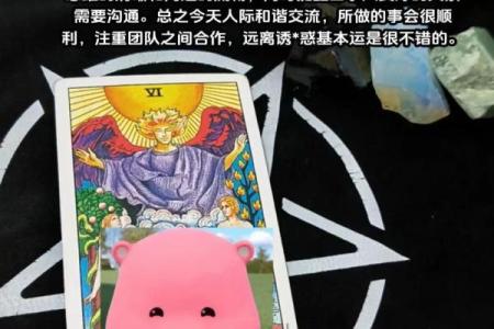 塔罗测试：九月学习运？