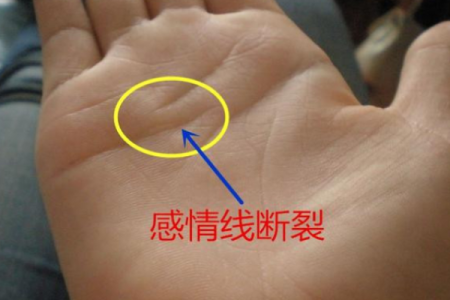 贾静雯的八字注定要经历二婚 谁说二婚的女人不幸福 她就是例外