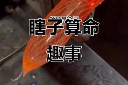 瞎子算命入门教学
