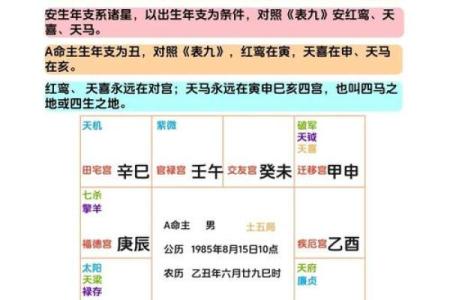 紫微斗数算什么流派 紫微斗数有多厉害？
