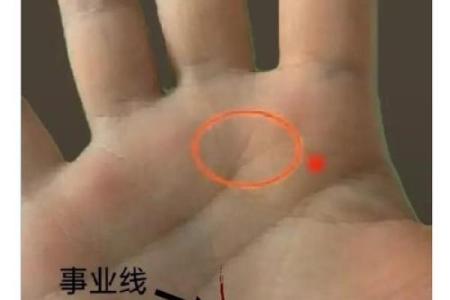 女人的事业线止于感情线命运如何风水