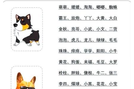 七月份出生的属狗男孩怎么取名字好姓名