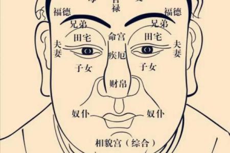 紫薇斗数基本运