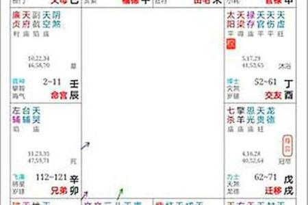 紫微斗数ios 紫微斗数免费排命盘？