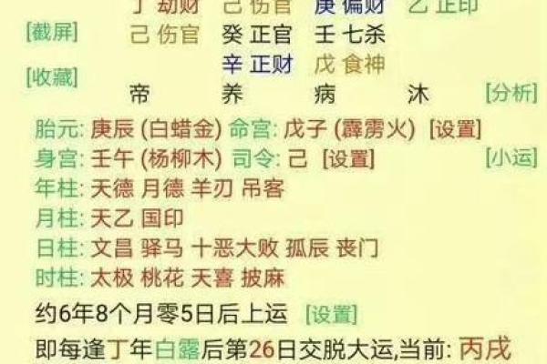 相同八字相同大运不同命运