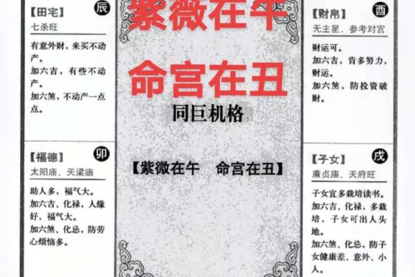 紫微斗数紫薇天府入命宫