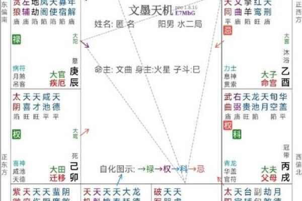 紫微斗数紫薇天府入命宫