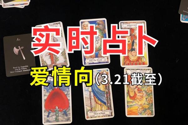 塔罗测试爱情什么时候出现