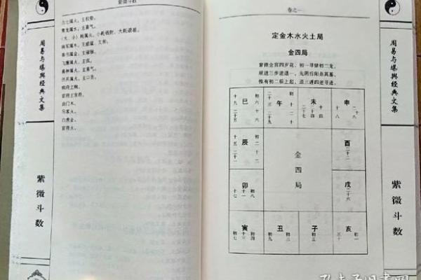 国学研究所紫微斗数记录 紫微星国学？