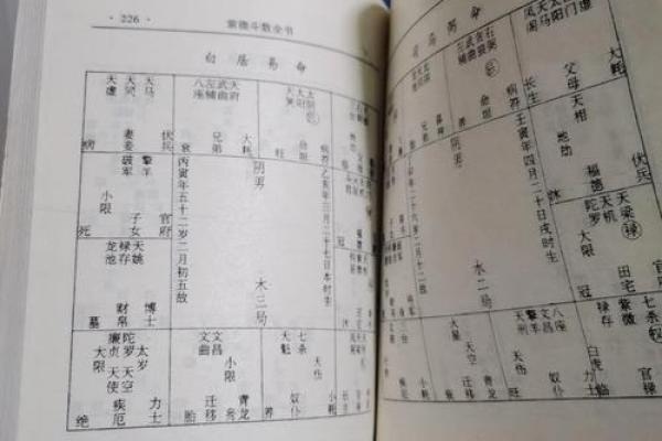 国学研究所紫微斗数记录 紫微星国学？