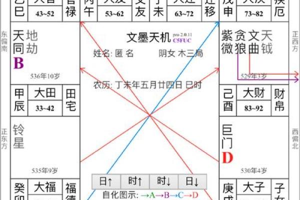 紫薇斗数网页