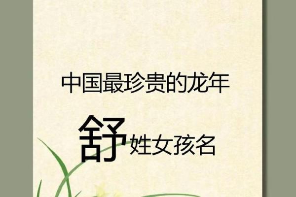 舒姓女孩名字大全-舒姓女孩起名字大全-舒姓名字大全姓名