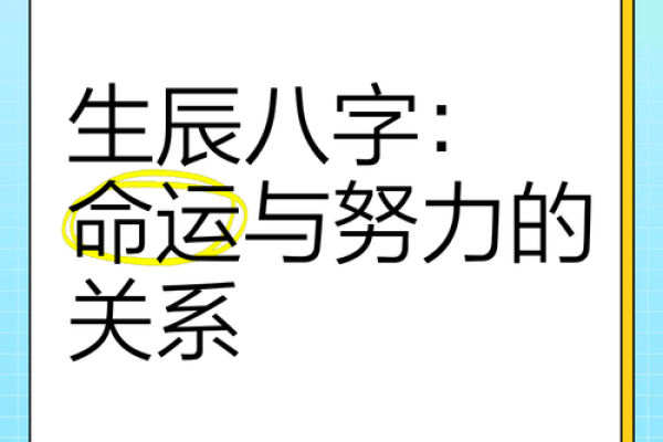 人生的八字