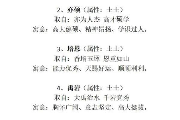 属龙酉时出生的男孩要什么名字好，适合什么字姓名
