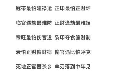 相同八字相同大运不同命运