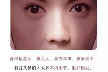 看鼻子面相算命大全