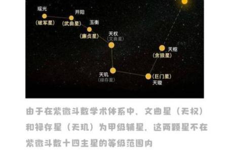紫薇斗数天月星