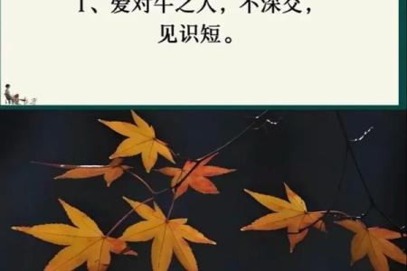 有哪六大风水；影响您一生婚恋