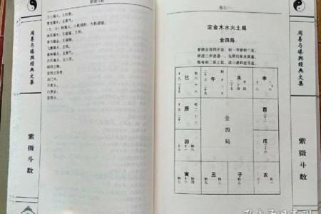 国学研究所紫微斗数记录 紫微星国学？