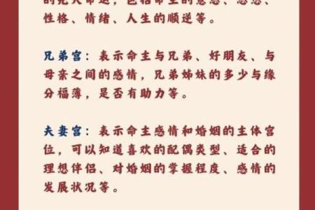 紫薇斗数右弼入命宫