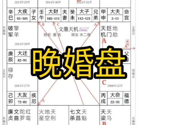 紫薇斗数婚姻墓