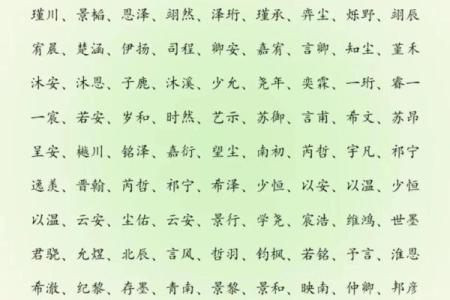 2019年4月20号寅时出生的男孩要怎么起名字姓名