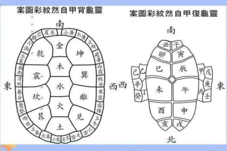 乌龟风水_龟眠之地是什么