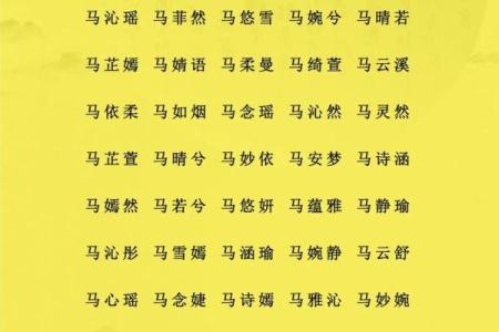 梅姓男孩名字大全-梅姓男孩起名字大全-梅姓名字大全姓名