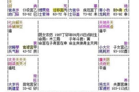 紫薇斗数丙丁生人