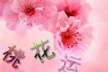 这些旺桃花风水布局安排起来 桃花运暴涨 父母再也不催婚