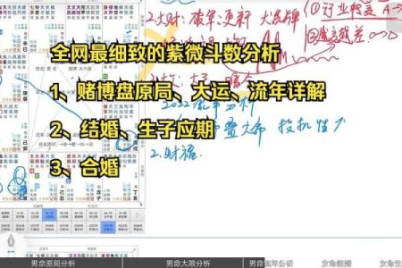 紫薇斗数如看今年流年