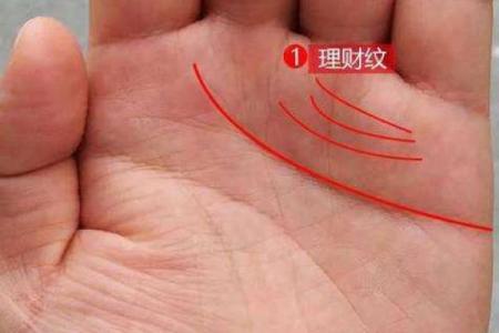 财运线算命