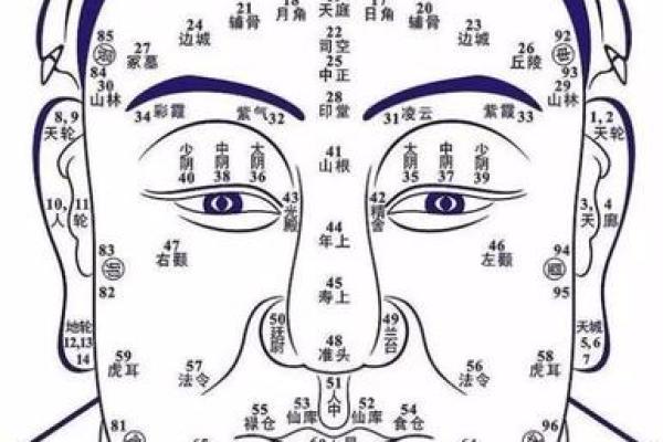 人脸拍照算命女