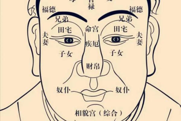 紫薇斗数胆子小