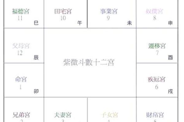 紫薇斗数将军在疾恶