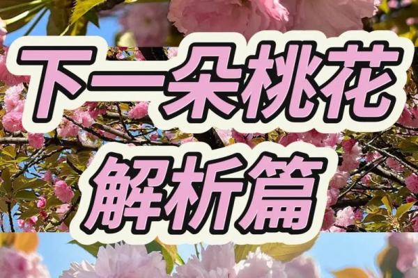 塔罗测试：9月你的桃花会不会来？