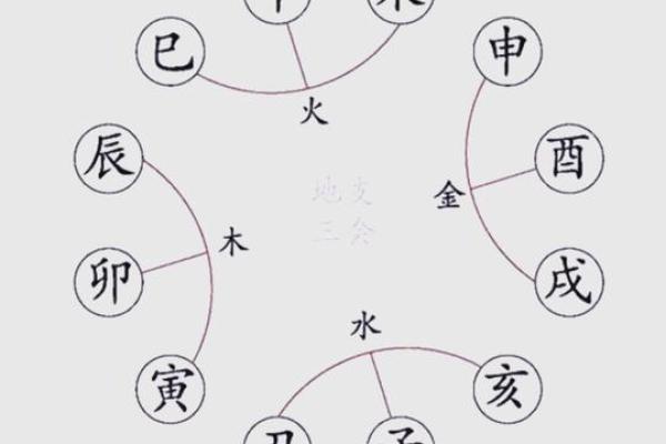 八字解析之-----地支三合三会