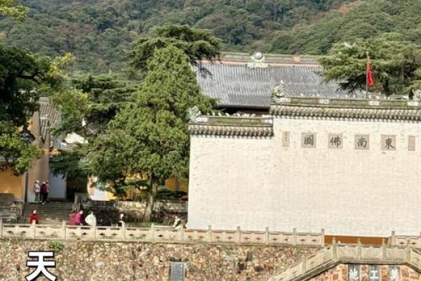 宁波天童寺附近算命准吗