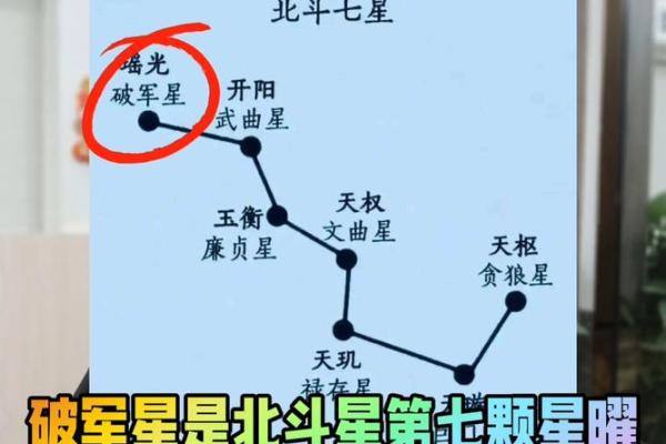 今天我们来聊聊紫斗中的天梁星，你的天梁星在哪呢#紫微斗数