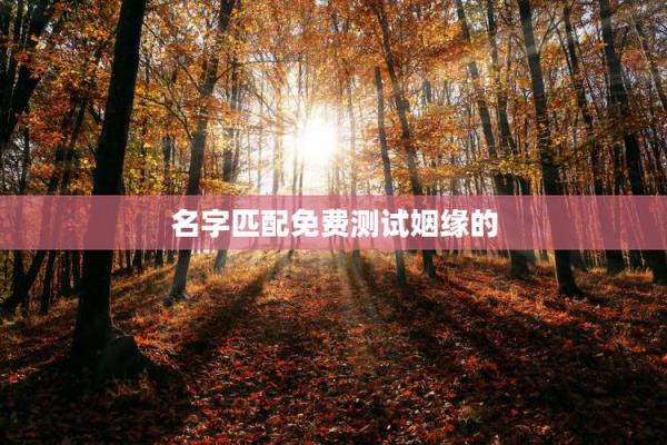 姓名配对测试恋爱指数6 名字恋爱配对测试？