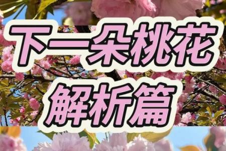 塔罗测试：9月你的桃花会不会来？